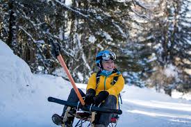 Datei:Rodel am Buegel.jpeg